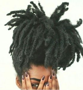 Afro Dreads High Ponytail