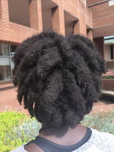 Early Stage Afro Dreads
